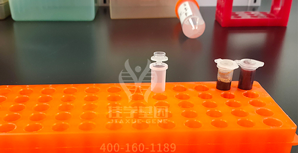 【佳学基因案例】色素失禁症基因检测、基因解码
